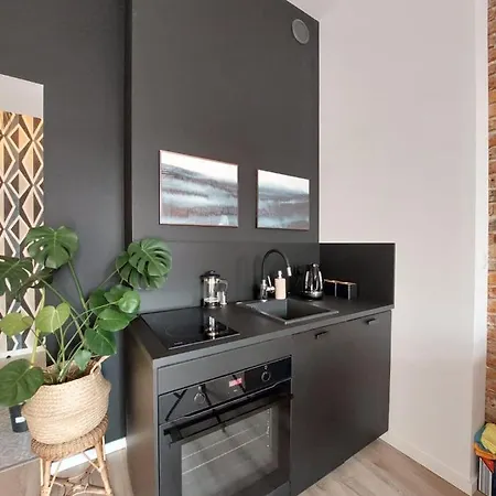 Kosciuszki Apartment *